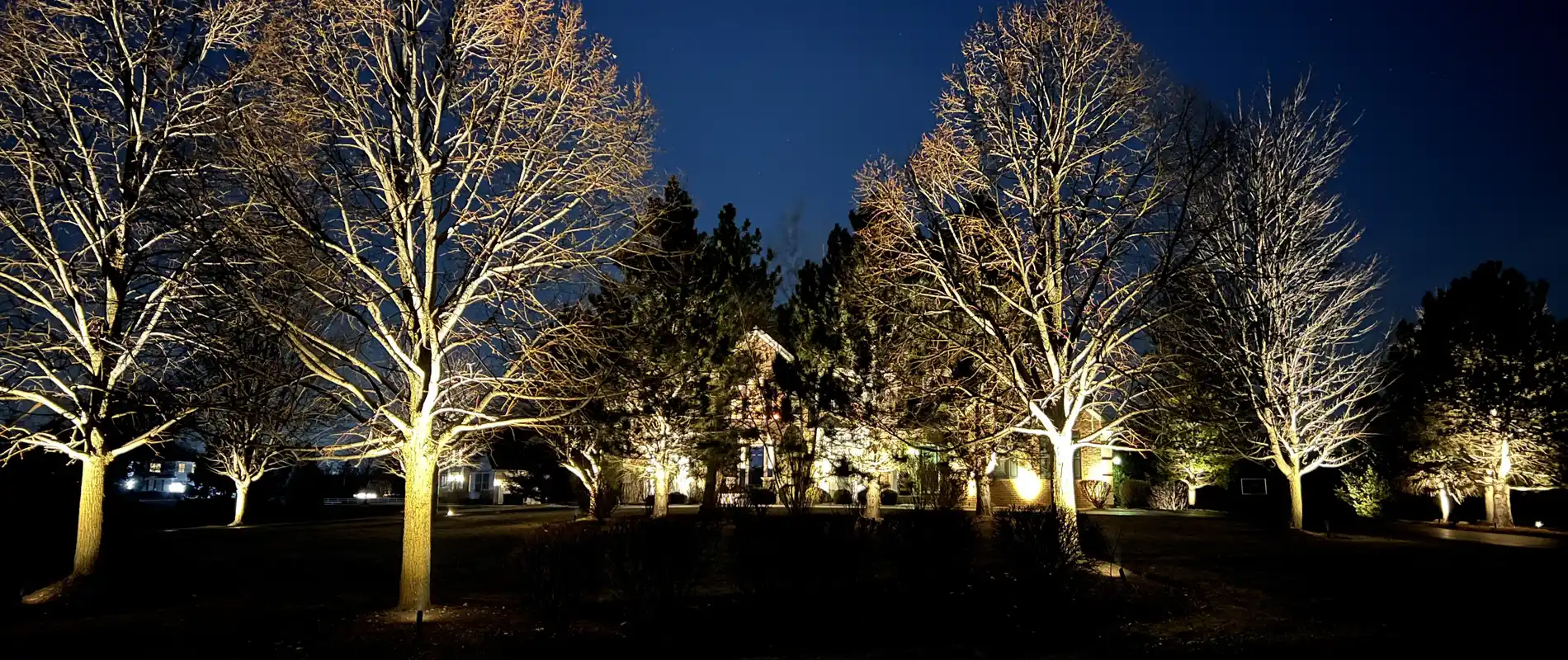 Home tree lighting